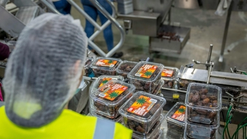 Automated conveyor system transports wrapped water bottle packs through a factory production line
