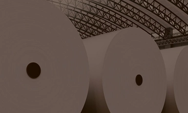 Paper-Pulp Summit, USA 2026